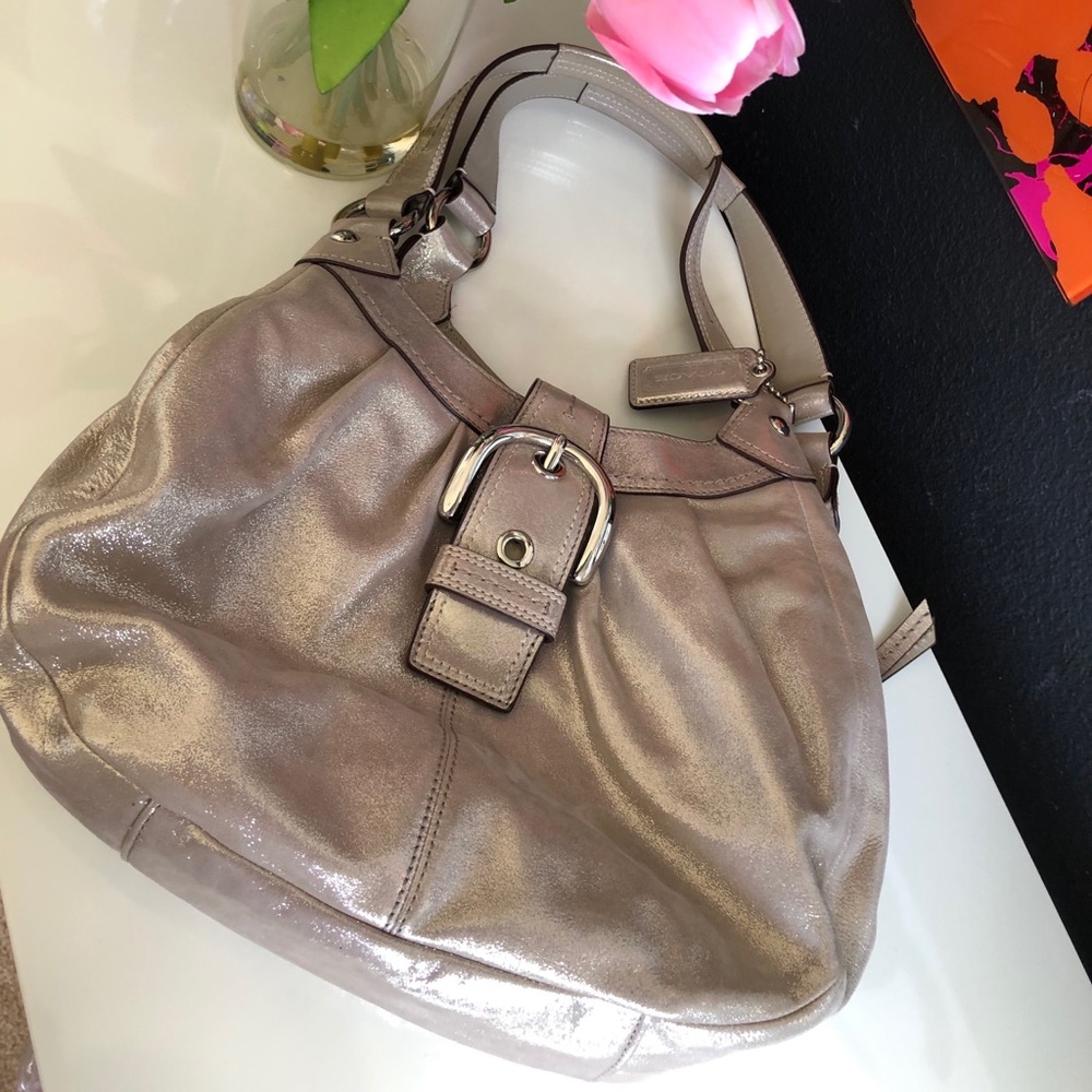 Coach Metallic Hobo Handbag